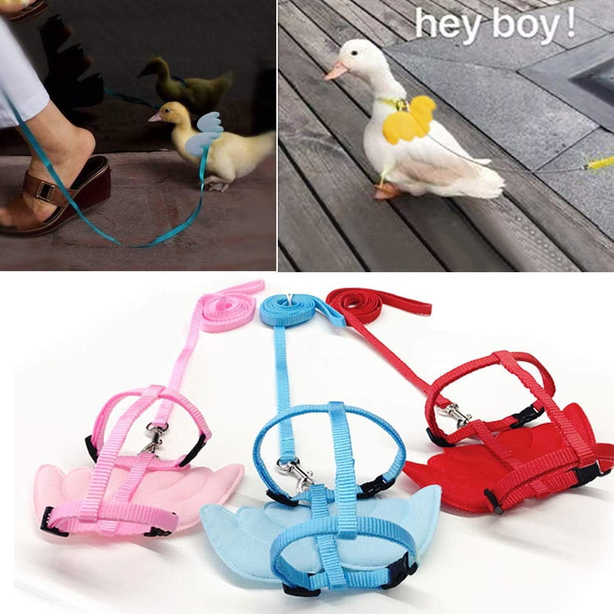 HKM-1361469 Adjustable Harness with Wings and Leash for Chickens, Ducks, Geese, Hens, and Small Pets
