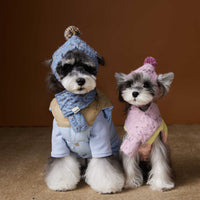 HKM-1364541 Autumn and Winter Down Vest for Pets - Stylish Casual Vest in Blue and Pink