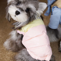 HKM-1364541 Autumn and Winter Down Vest for Pets - Stylish Casual Vest in Blue and Pink