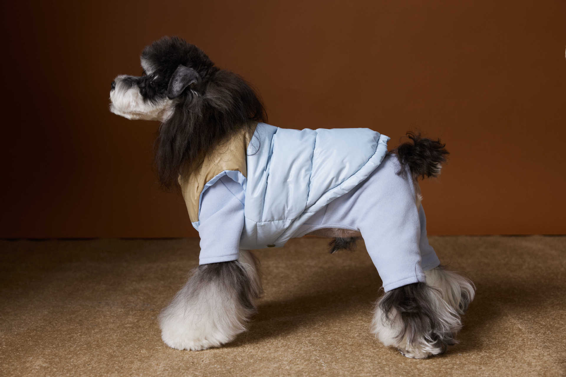 HKM-1364541 Autumn and Winter Down Vest for Pets - Stylish Casual Vest in Blue and Pink