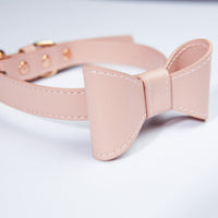 HKM-1365053 Cute Bow Collar and Leash Set for Pets - Fashionable Cotton Design in Blue and Pink