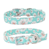 HKM-1365565 Colorful Double Layer Canvas Dog Collar with Traction Leash - Durable and Reflective
