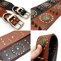 HKM-1367741 Durable Brown Leather Studded Dog Collar for Medium to Large Breeds