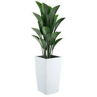 HKM-136979 Large Outdoor Plant Pots for Preserved Roses - Decorative Garden Planters