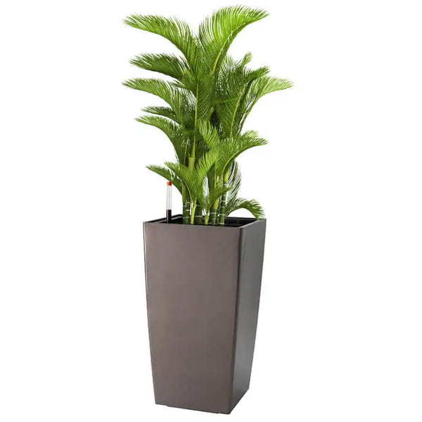 HKM-136979 Large Outdoor Plant Pots for Preserved Roses - Decorative Garden Planters
