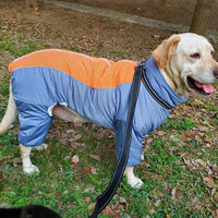 HKM-1370173 Cozy Cotton Coat for Medium and Large Dogs - Coral Fleece in Apple Green and Haze Blue