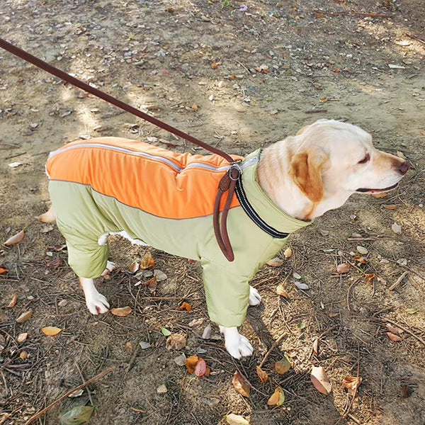 HKM-1370173 Cozy Cotton Coat for Medium and Large Dogs - Coral Fleece in Apple Green and Haze Blue
