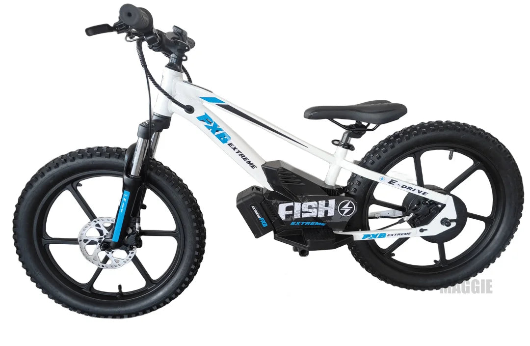 HKM-137043 20-Inch Electric Balance Bike with 36V 600W Motor, 3 Speed Options, Hydraulic Disc Brakes, Ideal for Kids