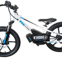 HKM-137043 20-Inch Electric Balance Bike with 36V 600W Motor, 3 Speed Options, Hydraulic Disc Brakes, Ideal for Kids