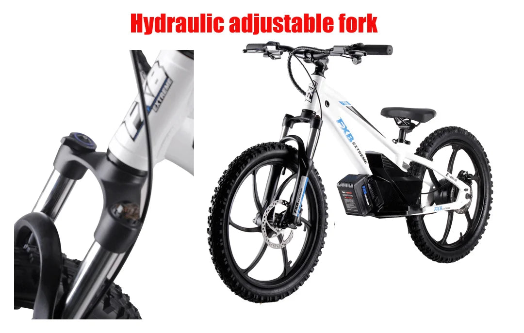 HKM-137043 20-Inch Electric Balance Bike with 36V 600W Motor, 3 Speed Options, Hydraulic Disc Brakes, Ideal for Kids