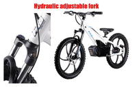 HKM-137043 20-Inch Electric Balance Bike with 36V 600W Motor, 3 Speed Options, Hydraulic Disc Brakes, Ideal for Kids