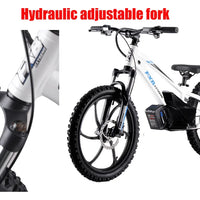HKM-137043 20-Inch Electric Balance Bike with 36V 600W Motor, 3 Speed Options, Hydraulic Disc Brakes, Ideal for Kids
