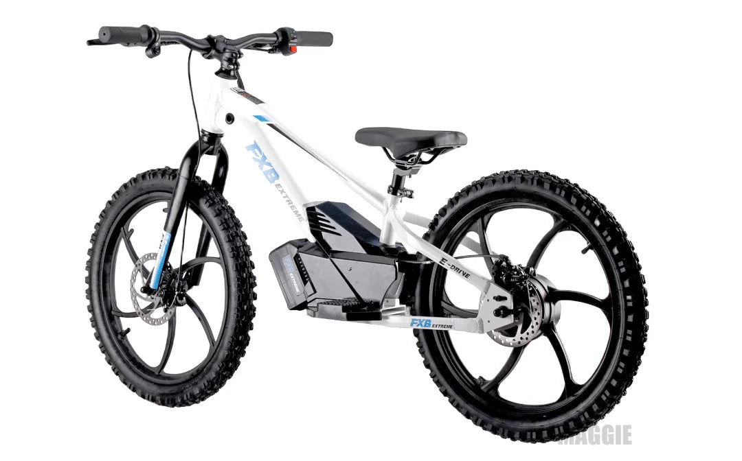 HKM-137043 20-Inch Electric Balance Bike with 36V 600W Motor, 3 Speed Options, Hydraulic Disc Brakes, Ideal for Kids