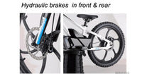 HKM-137043 20-Inch Electric Balance Bike with 36V 600W Motor, 3 Speed Options, Hydraulic Disc Brakes, Ideal for Kids