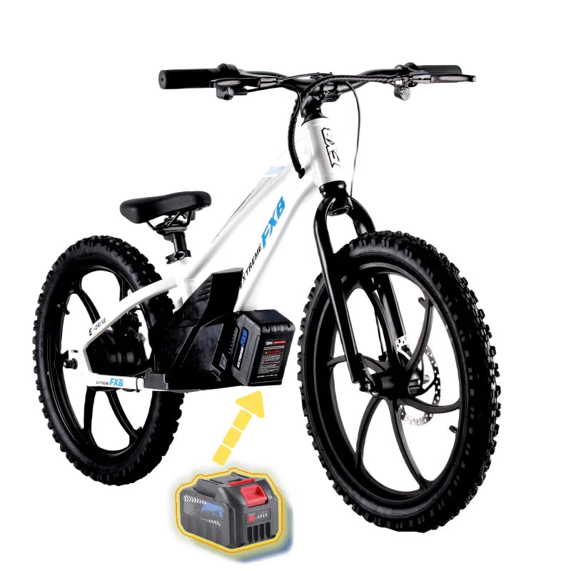 HKM-137043 20-Inch Electric Balance Bike with 36V 600W Motor, 3 Speed Options, Hydraulic Disc Brakes, Ideal for Kids