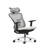 HKM-137235 Ergonomic Mesh Office Chair with Adjustable 3D Armrests and High Back Support