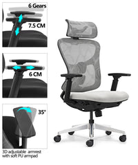 HKM-137235 Ergonomic Mesh Office Chair with Adjustable 3D Armrests and High Back Support