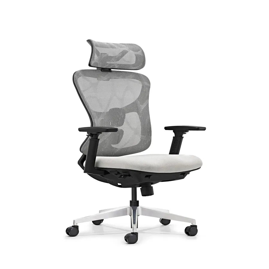 HKM-137235 Ergonomic Mesh Office Chair with Adjustable 3D Armrests and High Back Support