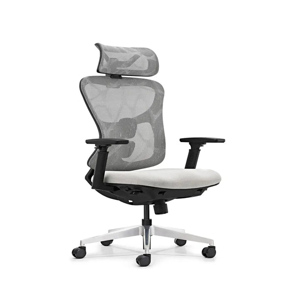 HKM-137235 Ergonomic Mesh Office Chair with Adjustable 3D Armrests and High Back Support
