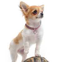 HKM-1373501 Heart Shaped Metal Pet Necklace - Adjustable Size for All Seasons