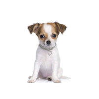 HKM-1373501 Heart Shaped Metal Pet Necklace - Adjustable Size for All Seasons