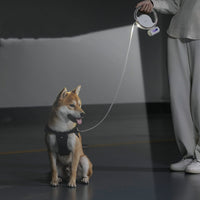 HKM-1375293 Automatic Retractable Dog Leash with LED Light and Waste Bag Storage - 3m Rope length, Abs Material