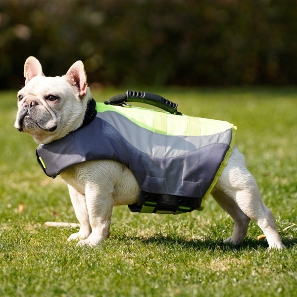 HKM-1378877 Adjustable Reflective Dog Life Jacket for Safe Swimming - Orange & Green Sizes XS-XXL