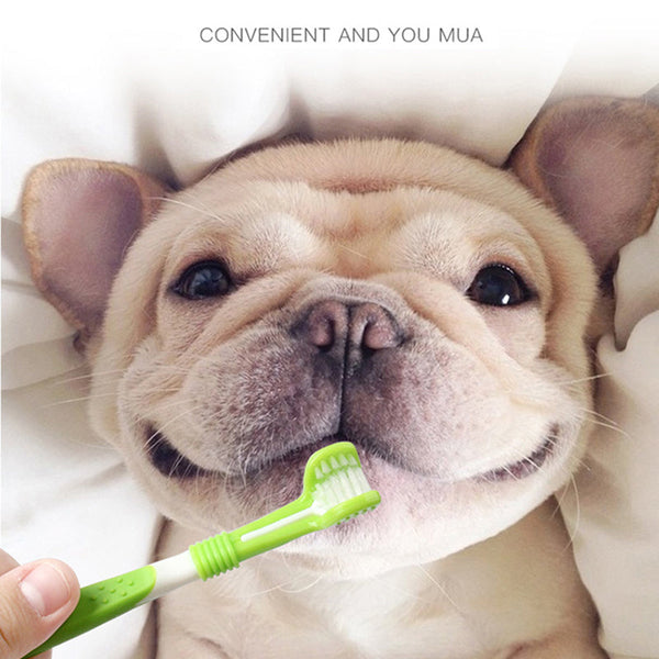 HKM-1379133 Triple-Head Pet Silicone Finger Toothbrush Kit for Gentle Dog Dental Care