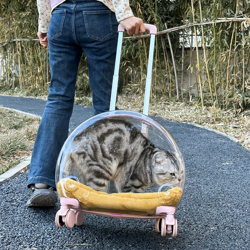 HKM-1383485 Transparent PC Pet Travel Trolley Bag with Reinforced Design, 10L Capacity