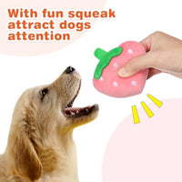 HKM-1384509 Soft Strawberry Plush Squeaky Toy for Dogs - Interactive Chew Toy for Teething and Playtime Fun