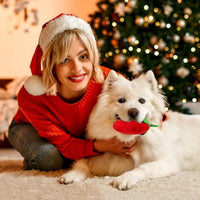 HKM-1384509 Soft Strawberry Plush Squeaky Toy for Dogs - Interactive Chew Toy for Teething and Playtime Fun