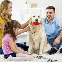 HKM-1384509 Soft Strawberry Plush Squeaky Toy for Dogs - Interactive Chew Toy for Teething and Playtime Fun