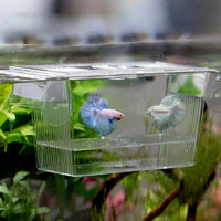 HKM-138451 Acrylic Fish Tank Incubation Box for Breeding Juvenile Fish and Shrimp