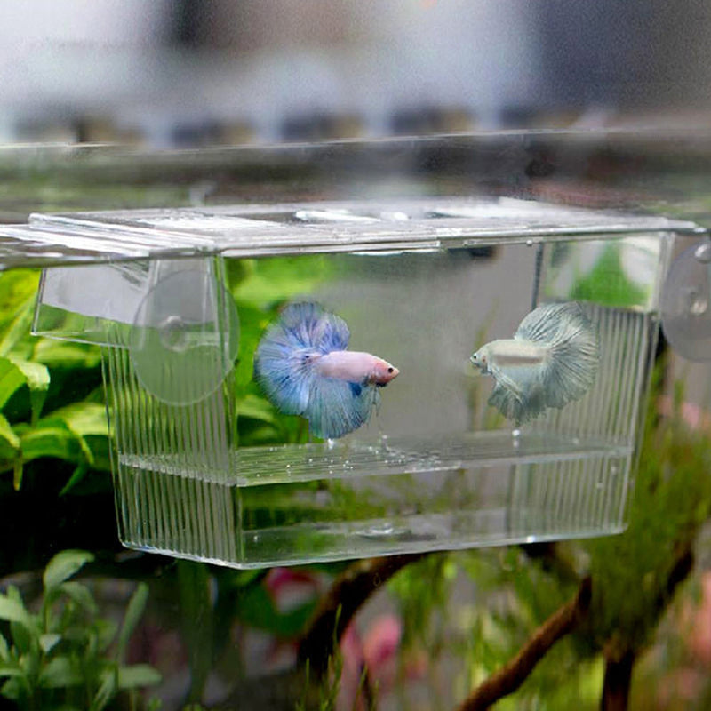 HKM-138451 Acrylic Fish Tank Incubation Box for Breeding Juvenile Fish and Shrimp