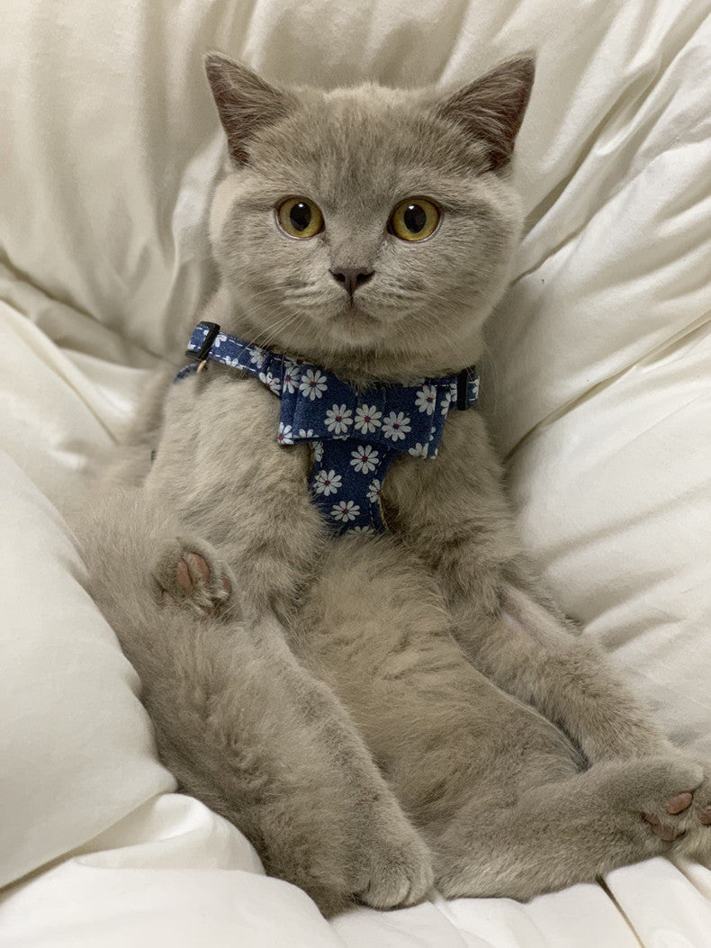 HKM-1386301 Japanese Style Cat Chest Strap and Traction Rope - Prevent Break Free, Leather, Multiple Colors Available