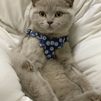 HKM-1386301 Japanese Style Cat Chest Strap and Traction Rope - Prevent Break Free, Leather, Multiple Colors Available