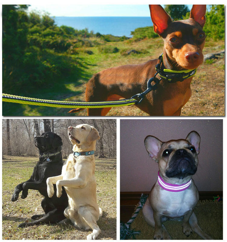 HKM-1394749 Breathable Mesh Pet Collar with Reflective Nylon - Various Colors and Sizes