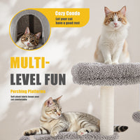 HKM-1396029 Cactus-Shaped Small Cat Tree Tower with Curved Bed and Scratching Post