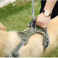 HKM-1398333 Elastic Retractable Dog Leash - Fluorescent Yellow/Army Green, Nylon Alloy, 1.45m Length, 240-280KG Pull Strength