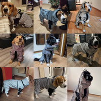 HKM-1400893 Large Dog Summer Sunscreen Stormsuit in Silver Gray - Casual Polyester Fabric