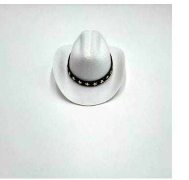 HKM-1403325 Stylish Five-Pointed Star Cowboy Hat for Pets in Various Colors