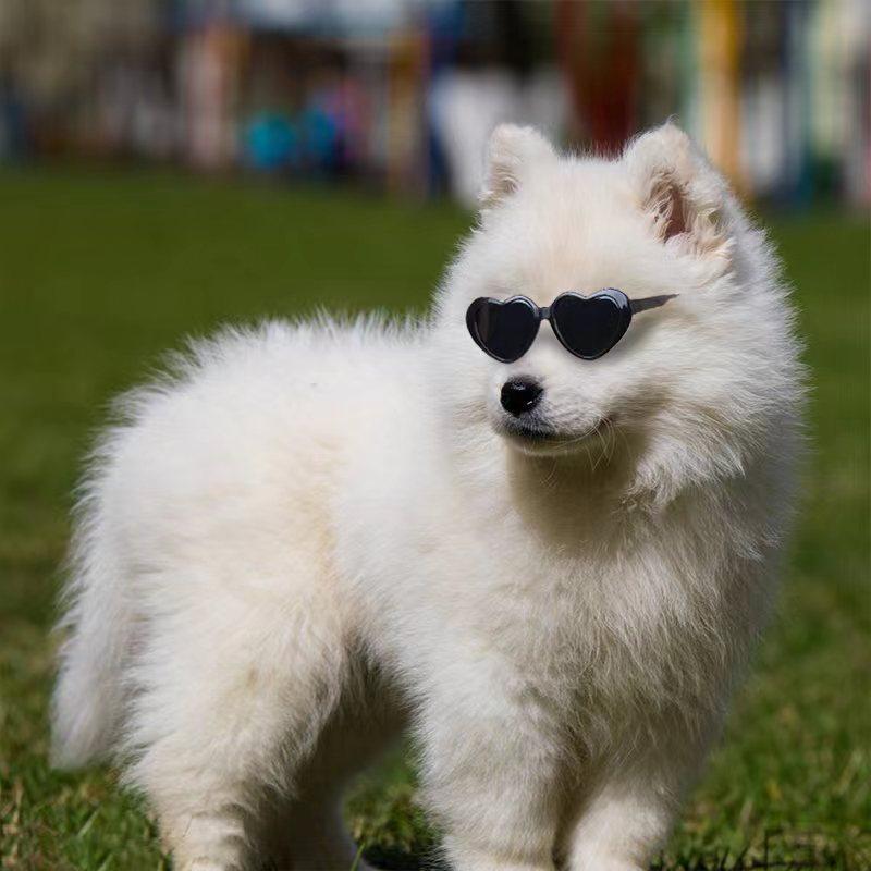 HKM-1405885 Colorful Doll Sunglasses for Pets - Various Styles Available