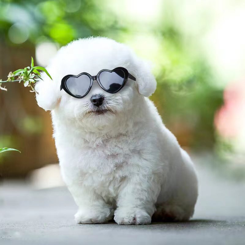 HKM-1405885 Colorful Doll Sunglasses for Pets - Various Styles Available