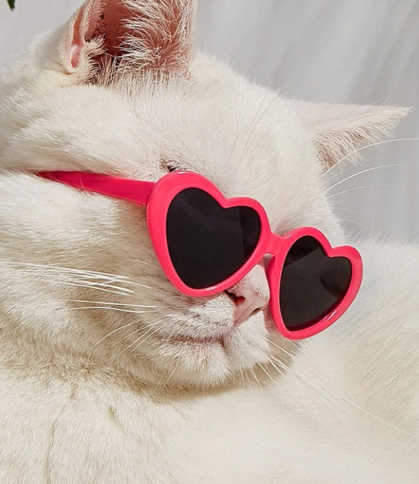 HKM-1405885 Colorful Doll Sunglasses for Pets - Various Styles Available