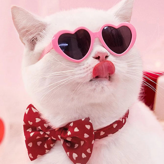 HKM-1405885 Colorful Doll Sunglasses for Pets - Various Styles Available
