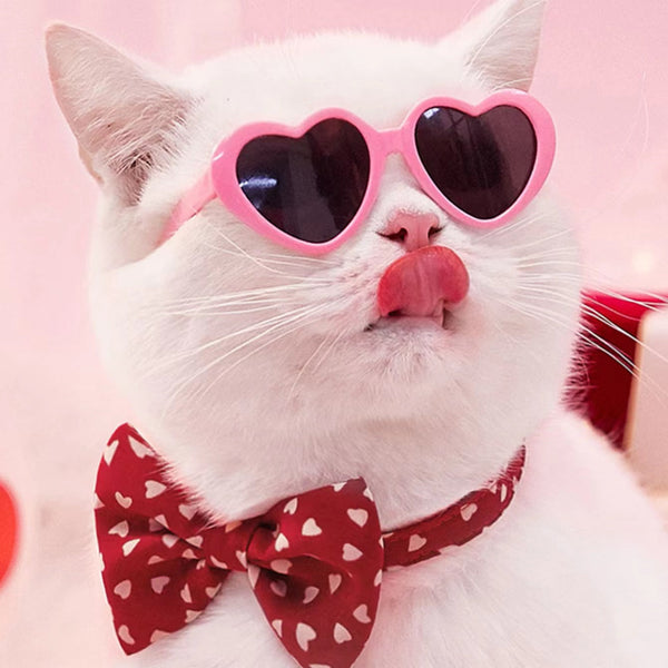 HKM-1405885 Colorful Doll Sunglasses for Pets - Various Styles Available