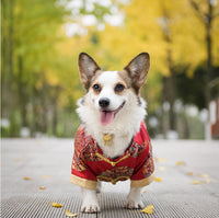 HKM-140691 Dog Tang Dress for Weddings and New Year Celebrations - Cotton Material, Multiple Sizes Available