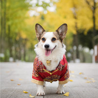 HKM-140691 Dog Tang Dress for Weddings and New Year Celebrations - Cotton Material, Multiple Sizes Available