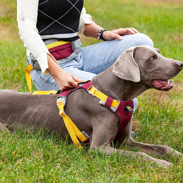 HKM-1413309 Reflective Dog Training Vest with Chest Strap in Barbie Pink, Grape Purple, and Wine Red