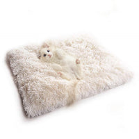 HKM-1414077 Cozy South Korean Velvet Cat Bed with Soft Cushion in White and Grey, 61x51CM